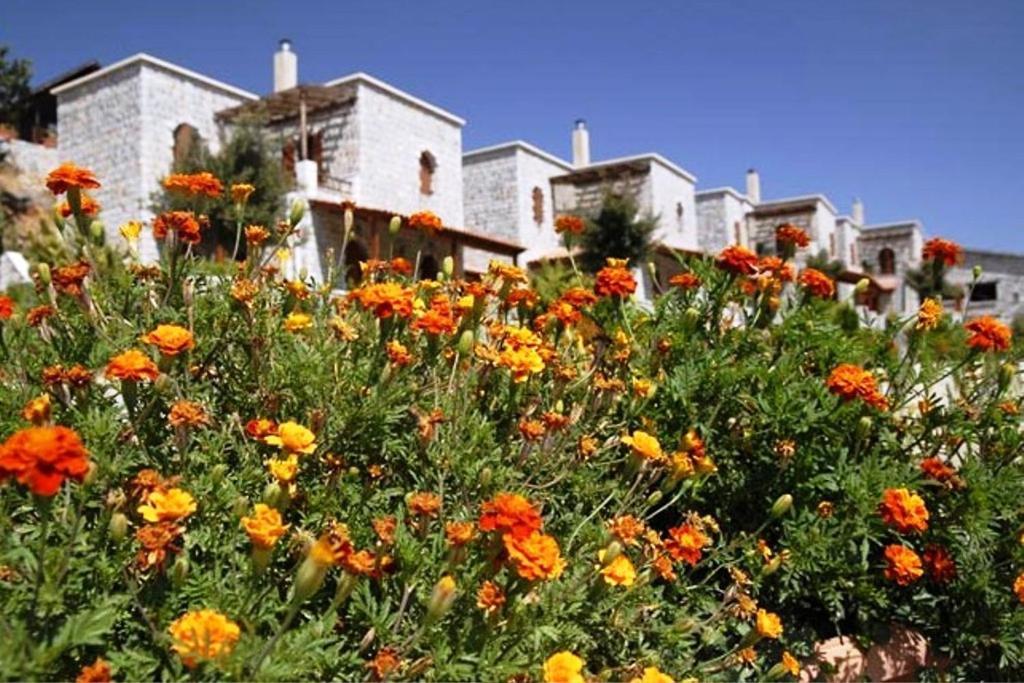 Lefkoritis Resort Askifou Sfakia Petrés Esterno foto