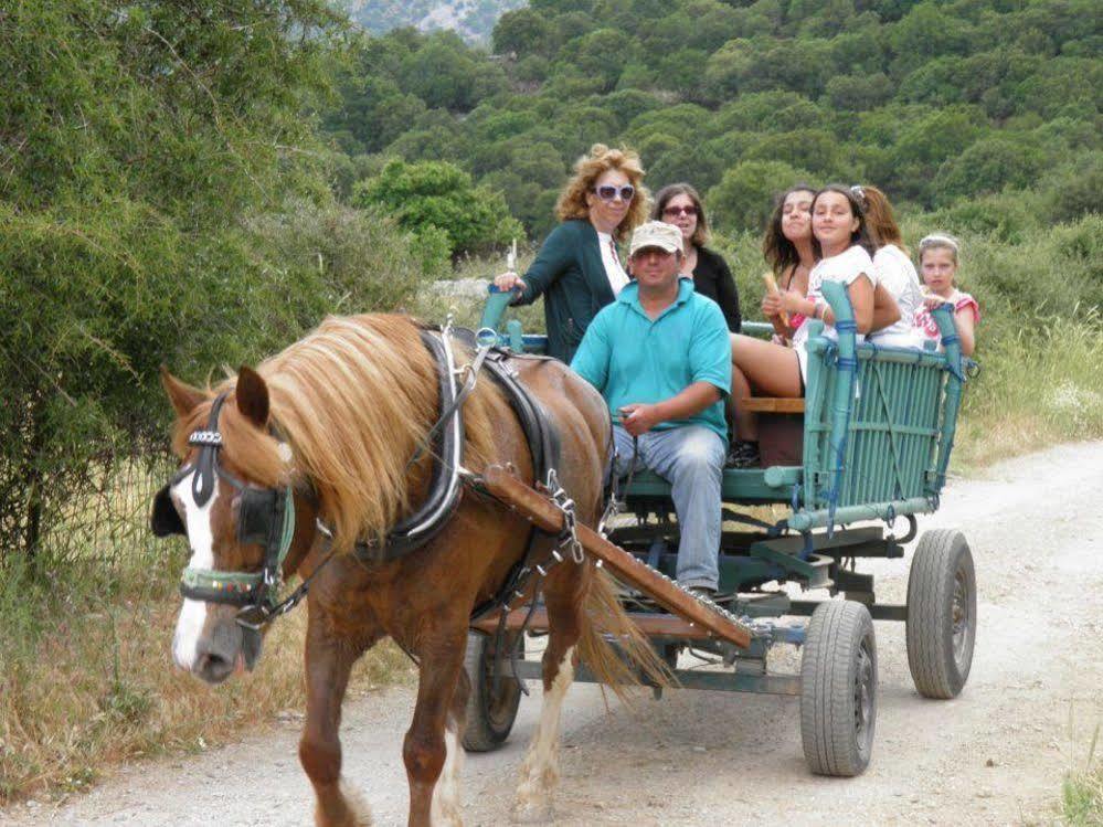 Lefkoritis Resort Askifou Sfakia Petrés Esterno foto